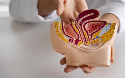 Promoción Urología